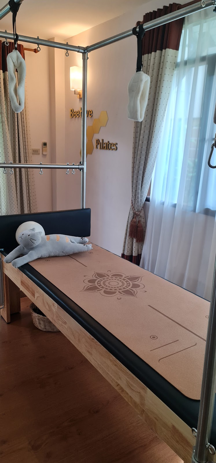 Beehive studio Aerial yoga & Pilates photo 9