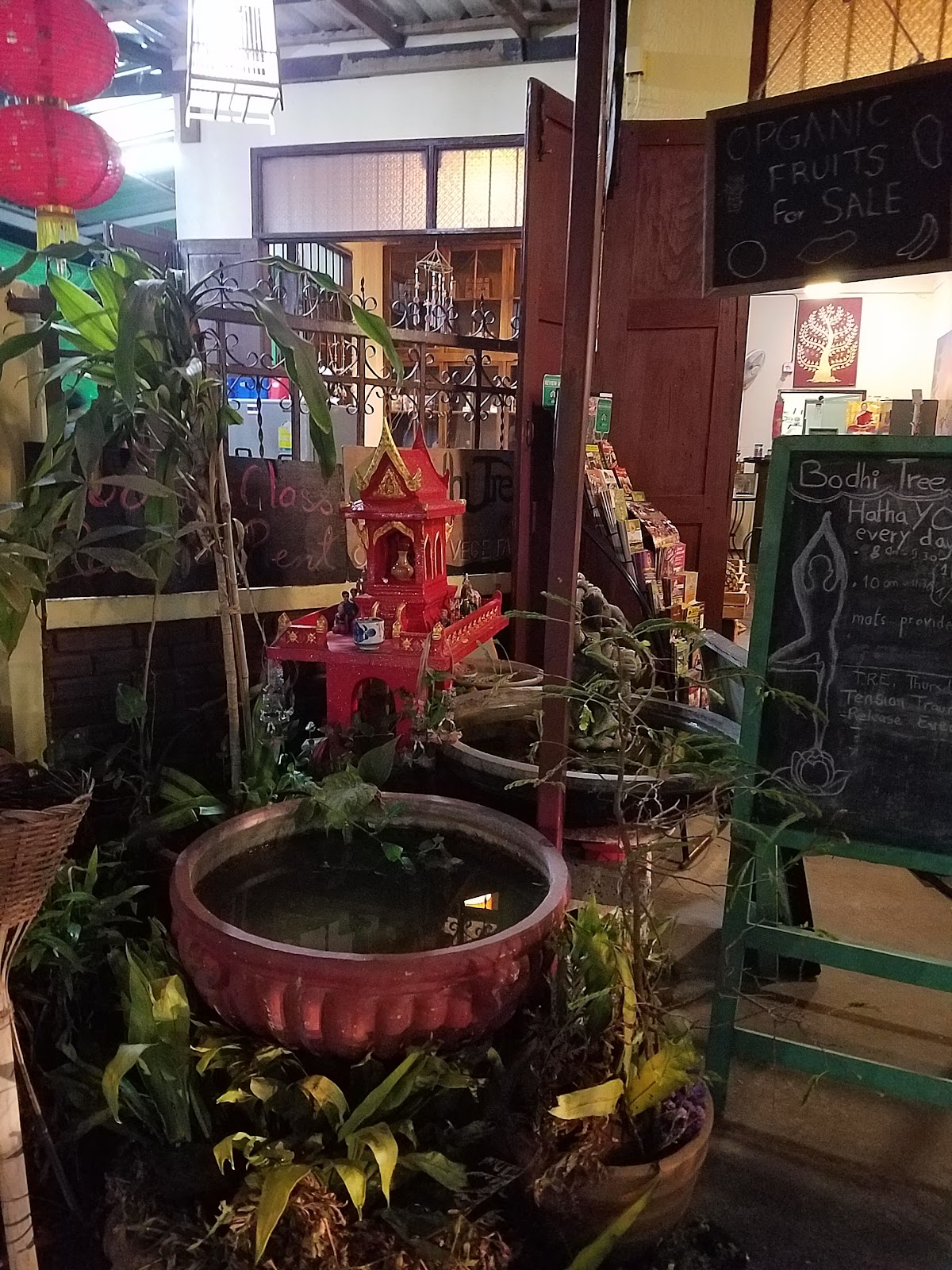 Bodhi Tree Yoga Studio