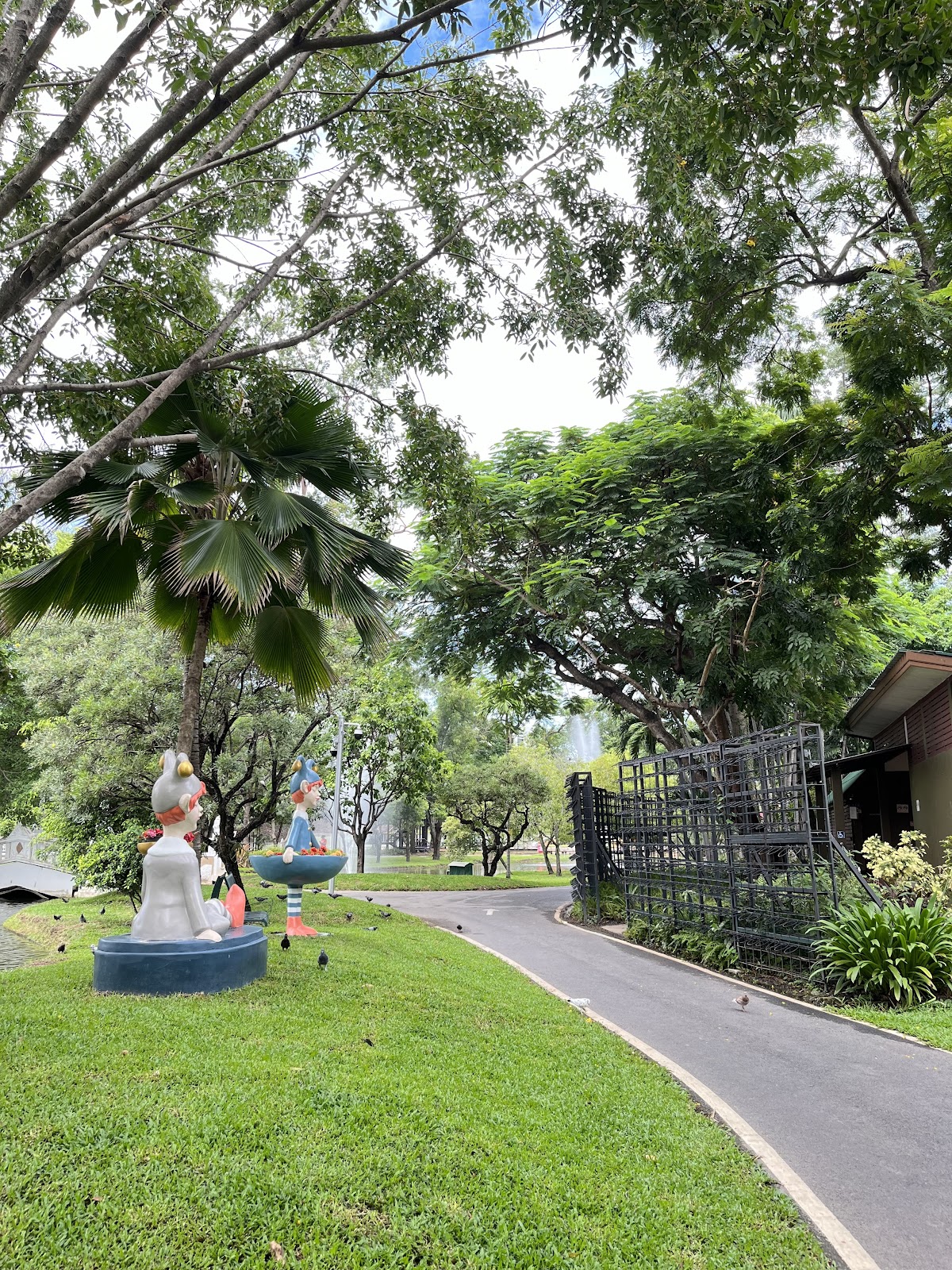 ChiGong every morning at 6:am, or earlier