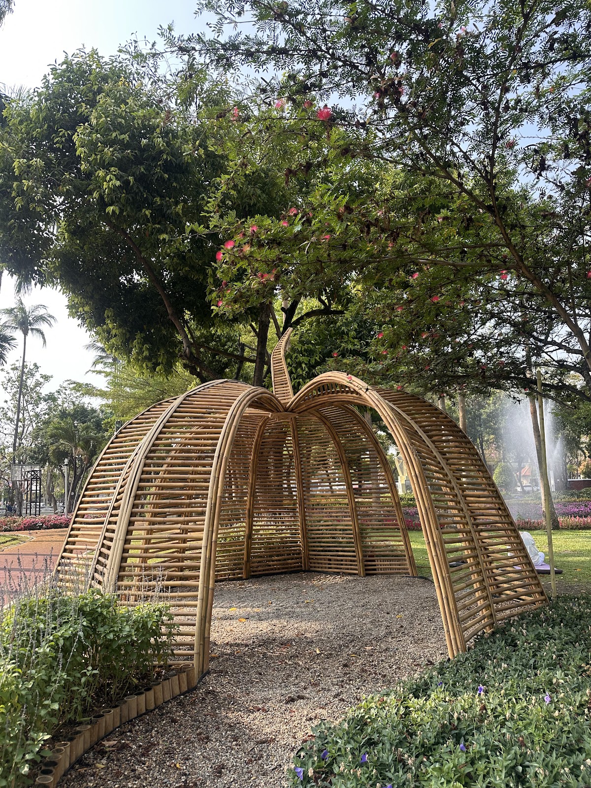 ChiGong every morning at 6:am, or earlier