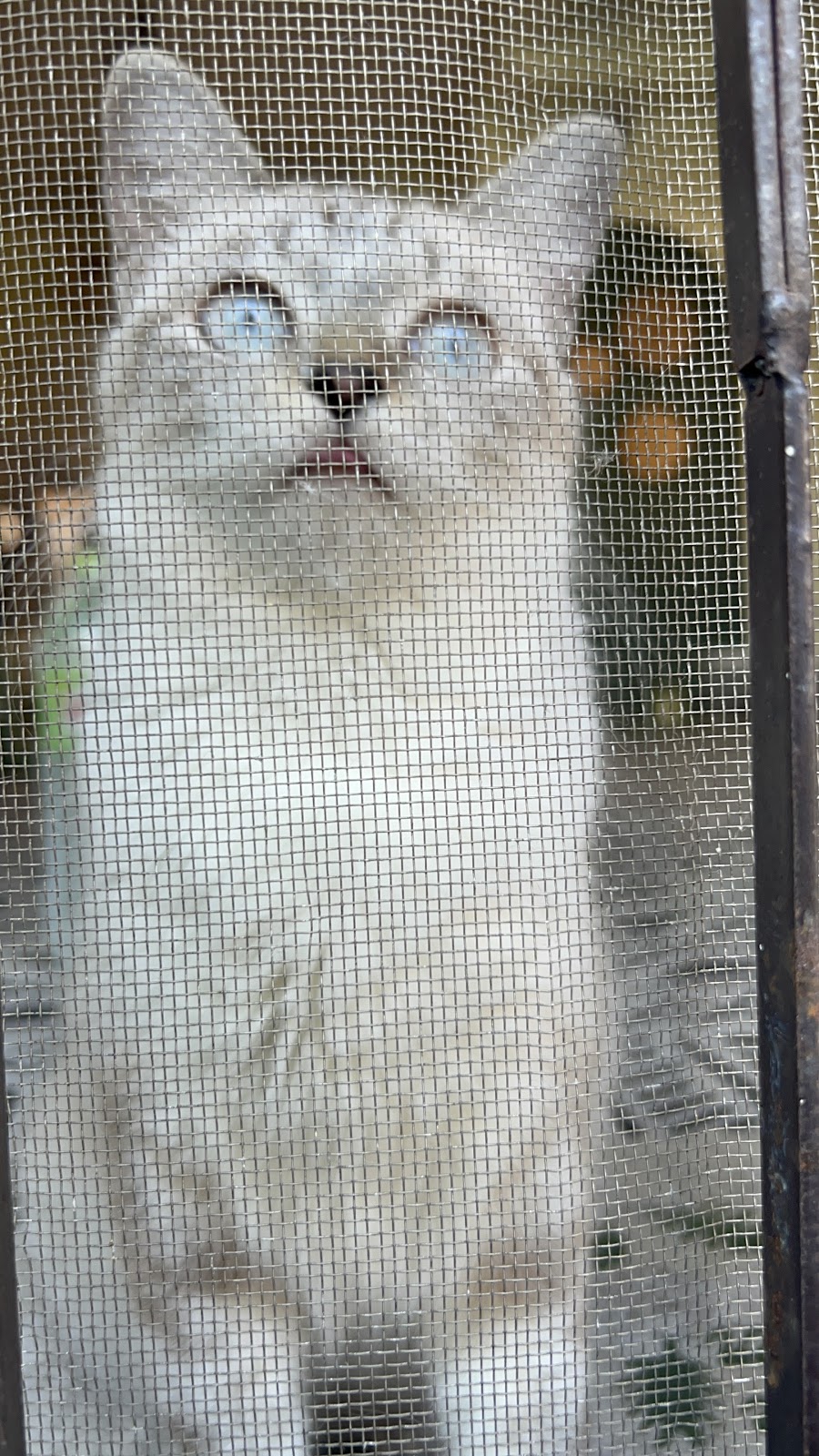 Cypress Nest photo 5