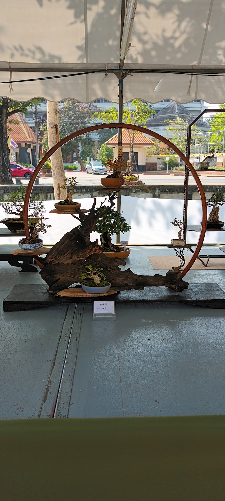 Excercise bar calisthenics