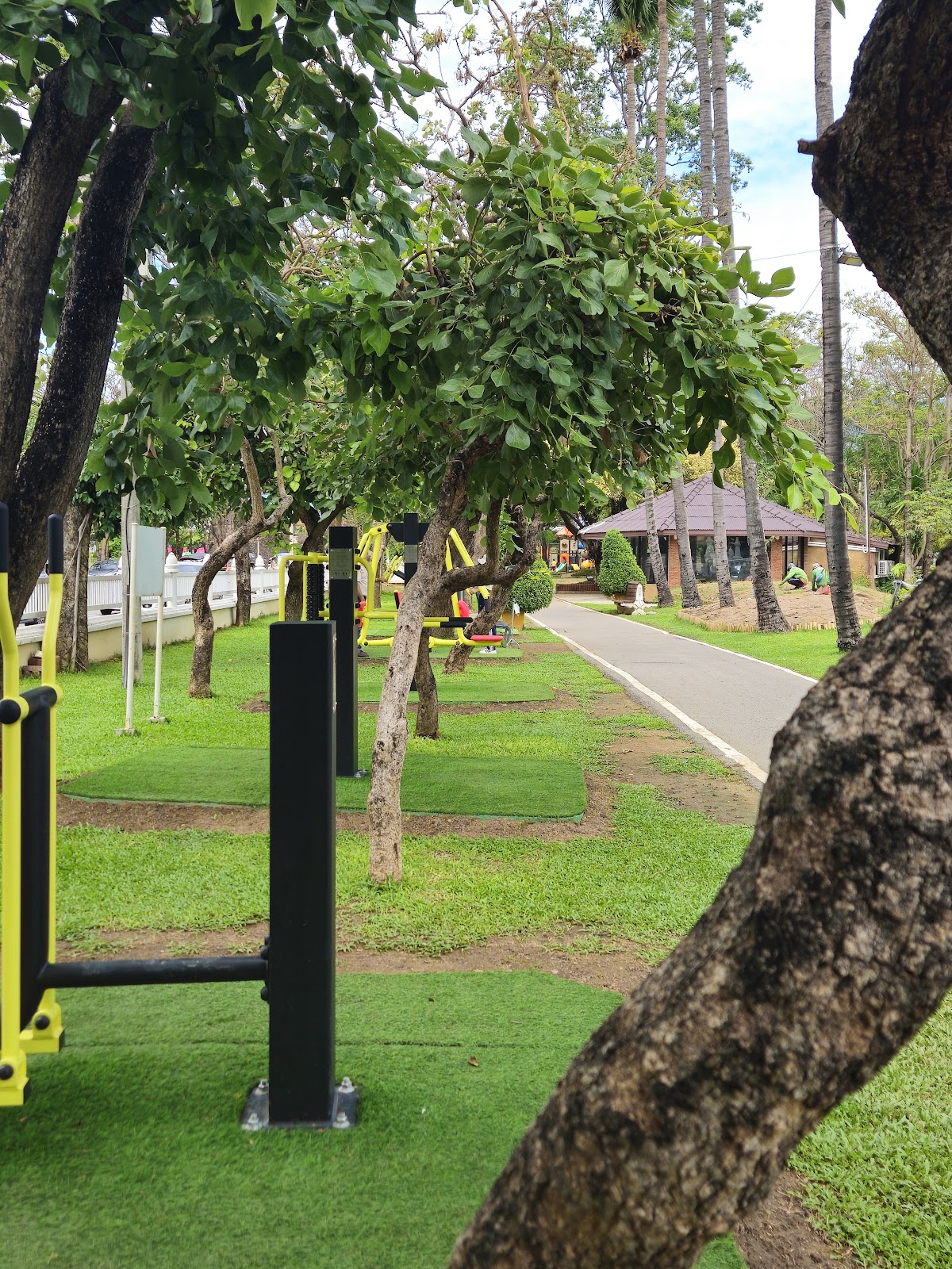 Excercise bar calisthenics photo 4