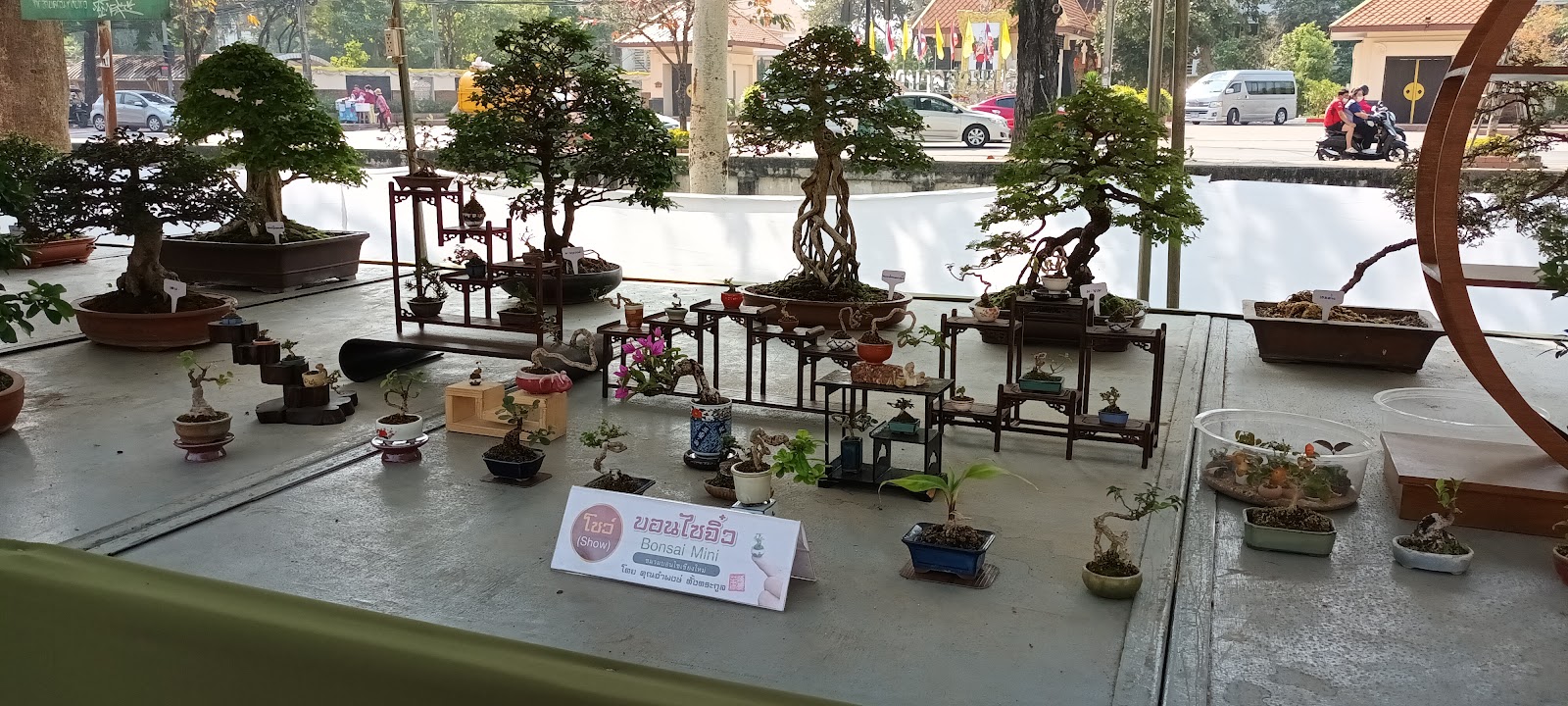 Excercise bar calisthenics photo 8