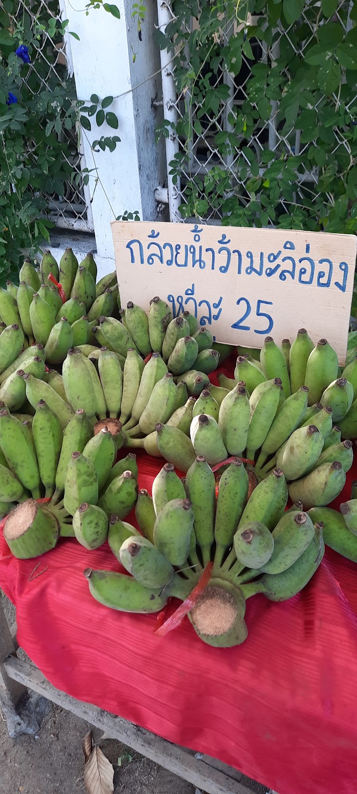 Jungo Pilates Studio photo 10