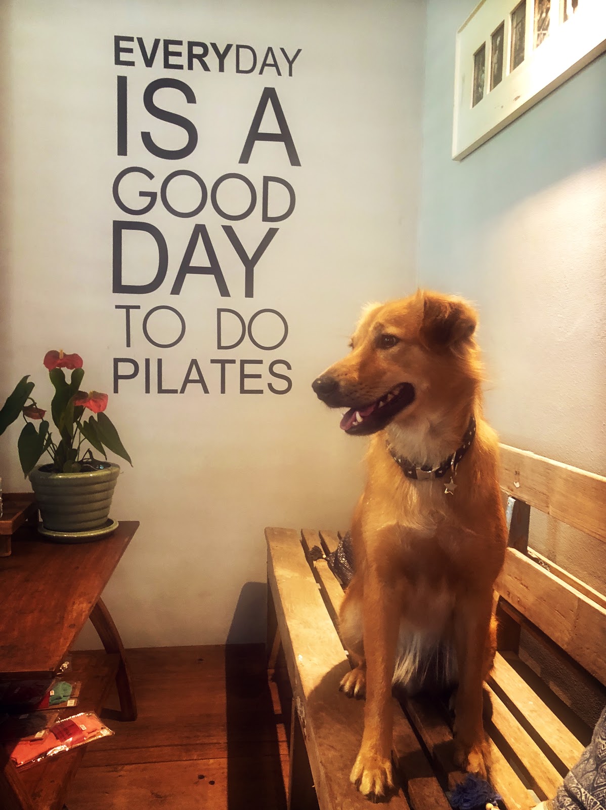 Jungo Pilates Studio photo 7