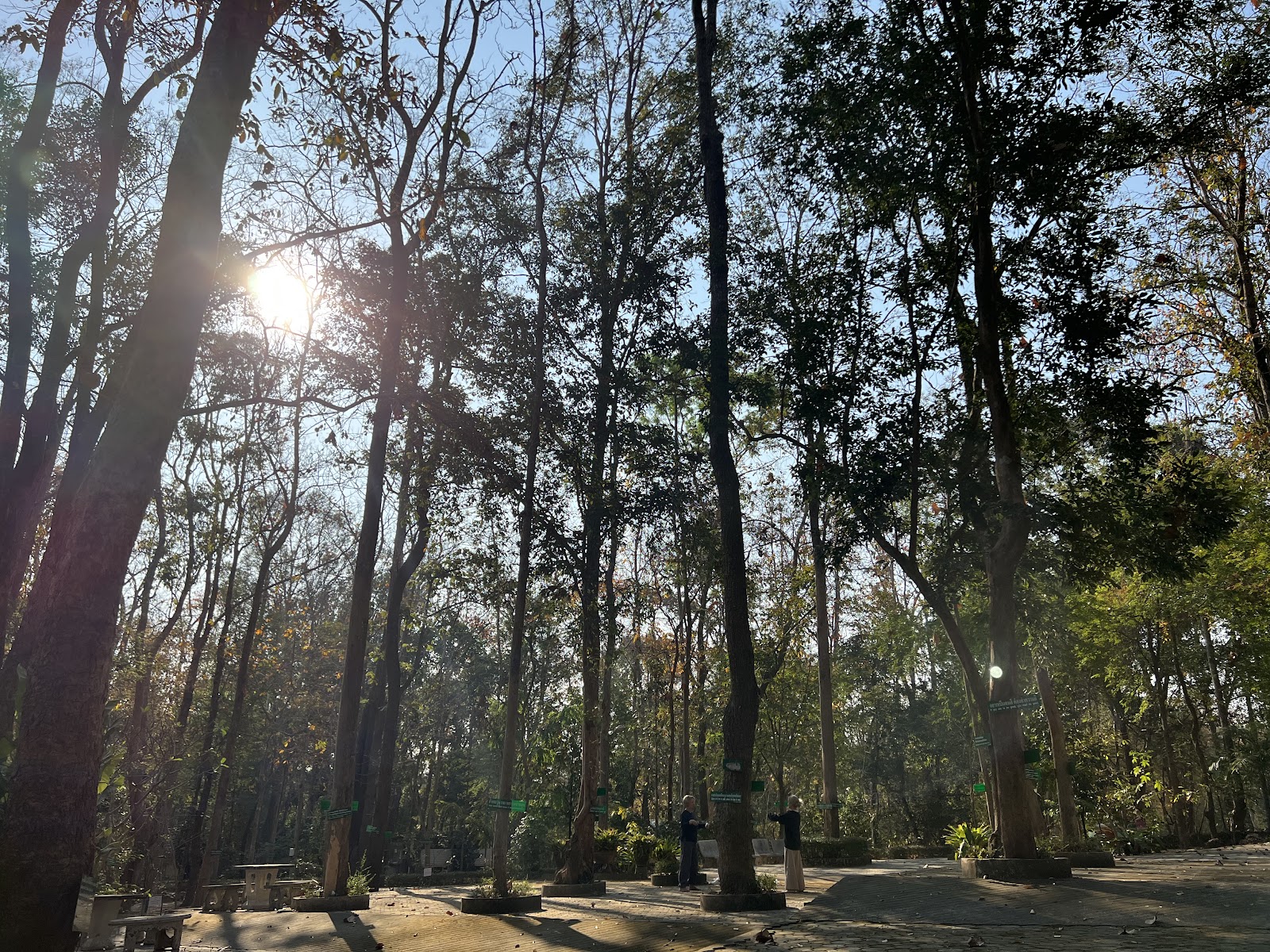 Kung Fu Chiang Mai - Chiangmai Martial Arts Academy (Private Studio downtown) photo 4