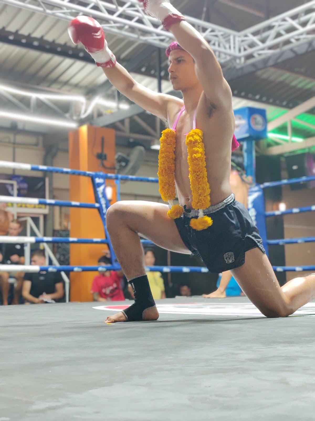 Lanna Muay Thai photo 2