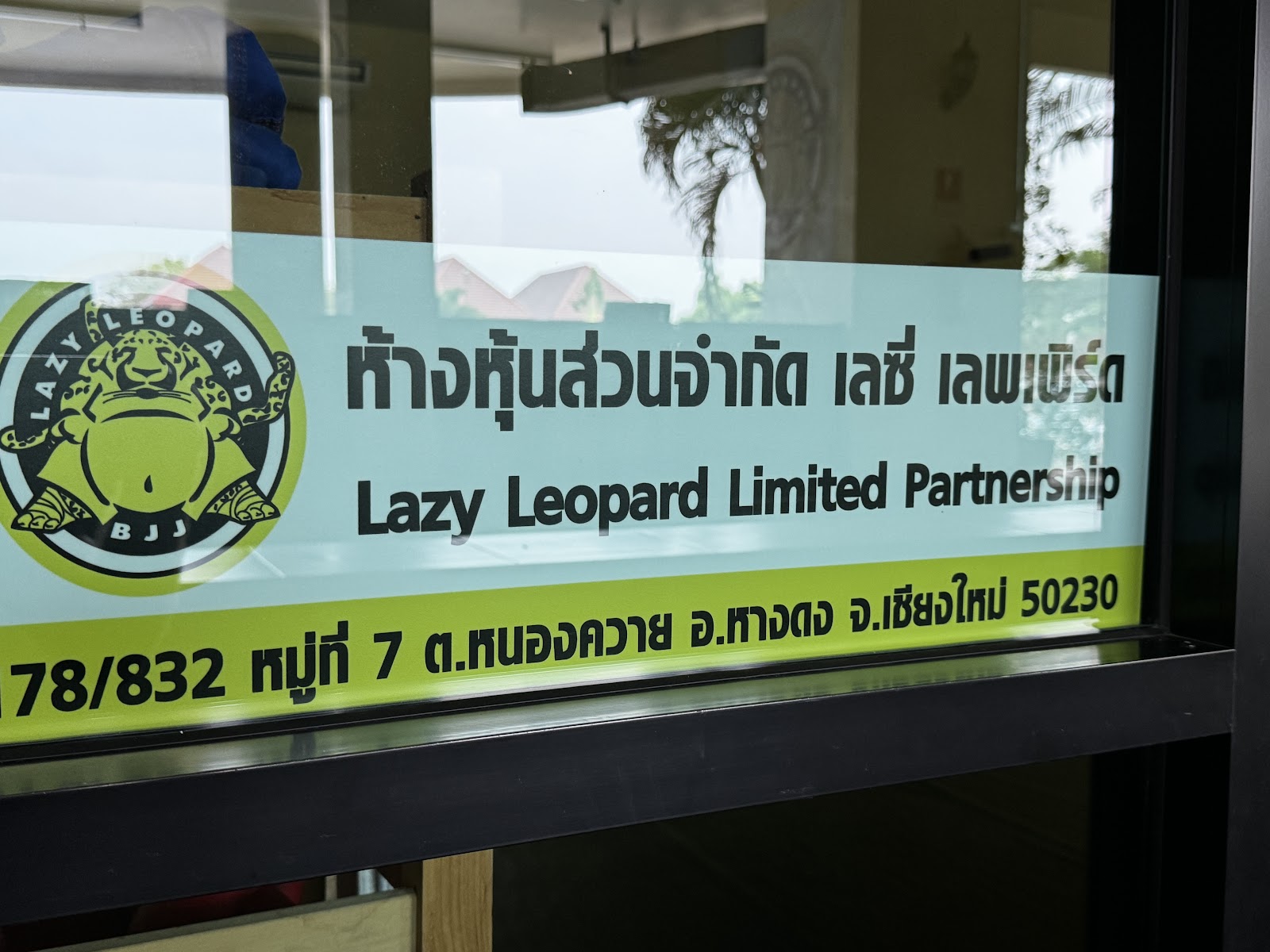 Lazy Leopard BJJ and MMA photo 9