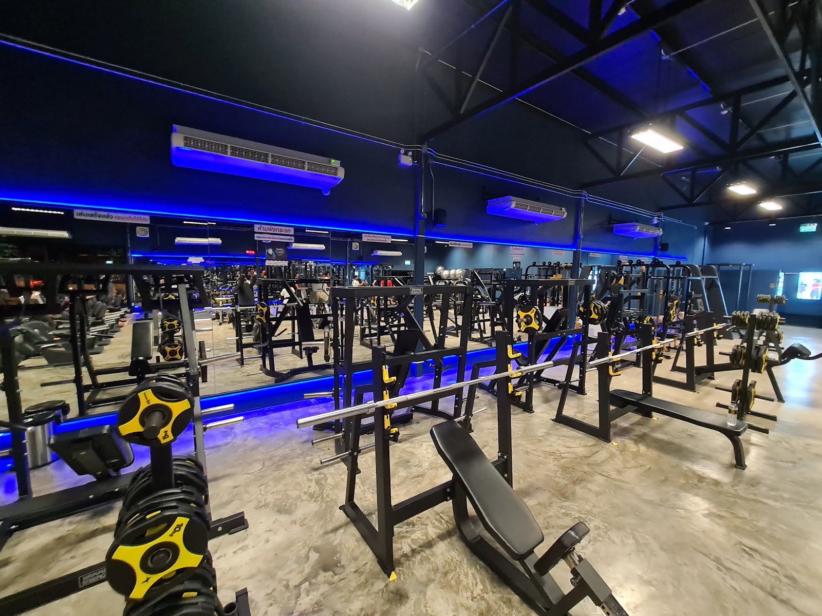 Lion Fitness photo 2