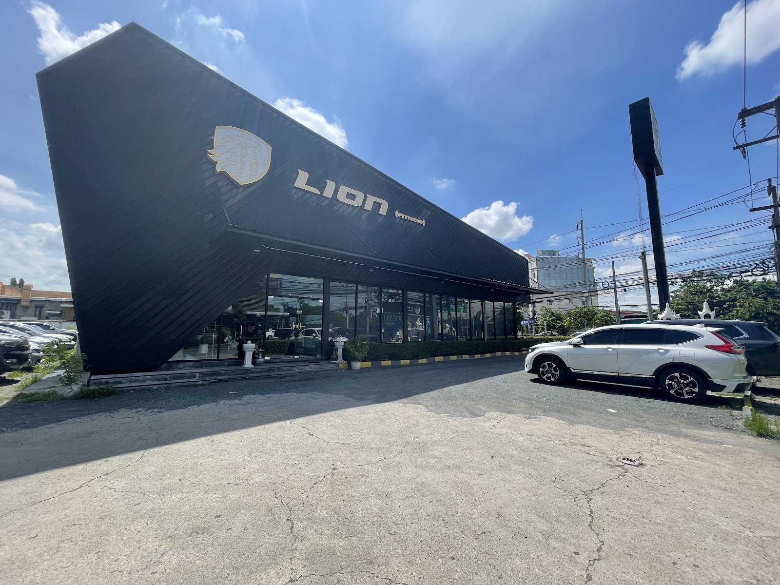 Lion Fitness photo 3