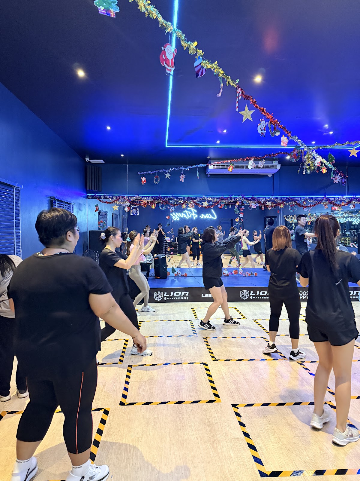 Lion Fitness photo 5