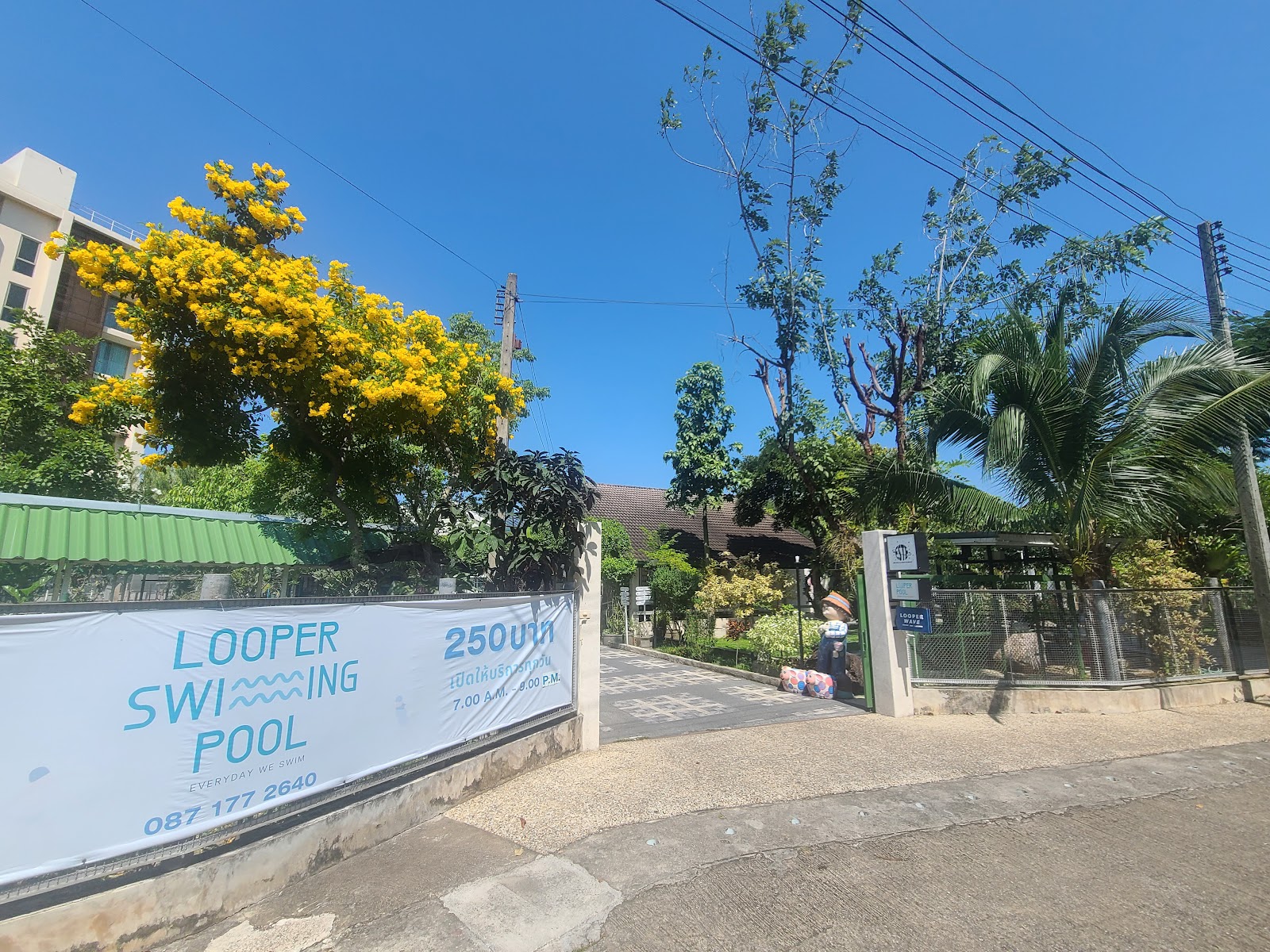 Looper Swimming Pool