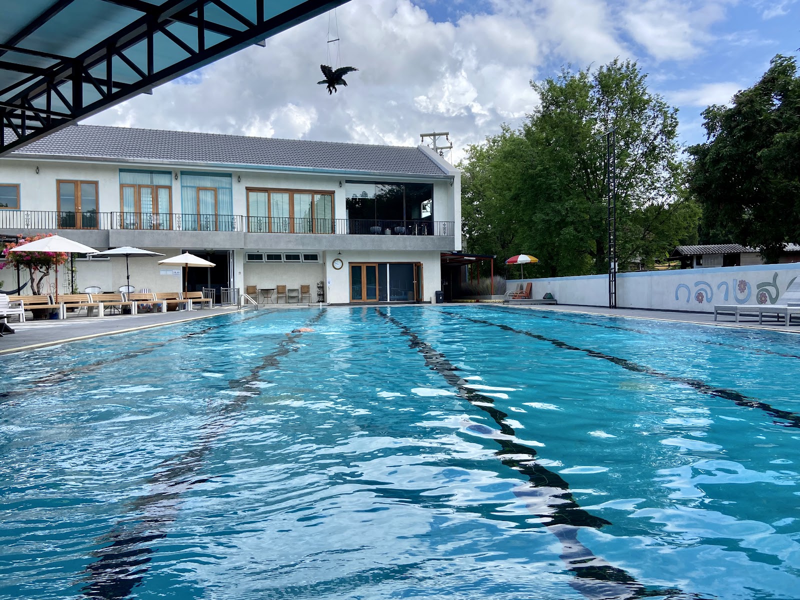 Looper Swimming Pool