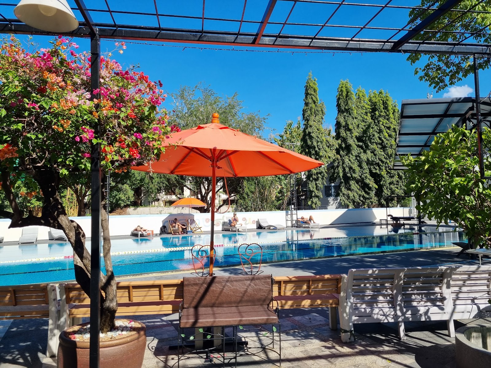 Looper Swimming Pool photo 6