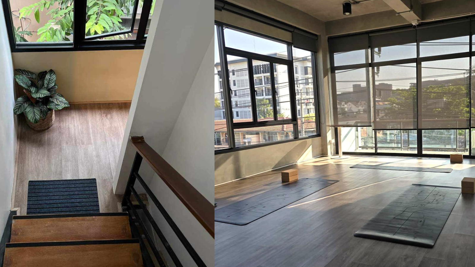 M Studio - Movement that Inspires