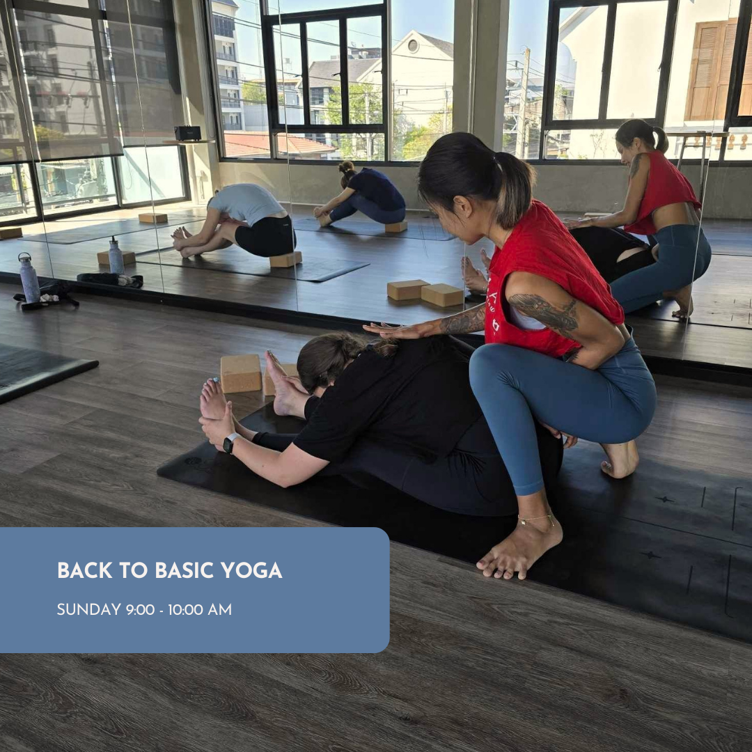 M Studio - Movement that Inspires