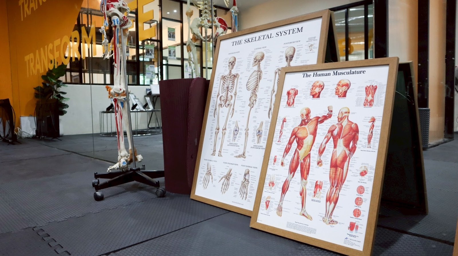 MDS - MEDesign ฟิตเนสกายภาพกระดูกและข้อ เชียงใหม่ photo 5