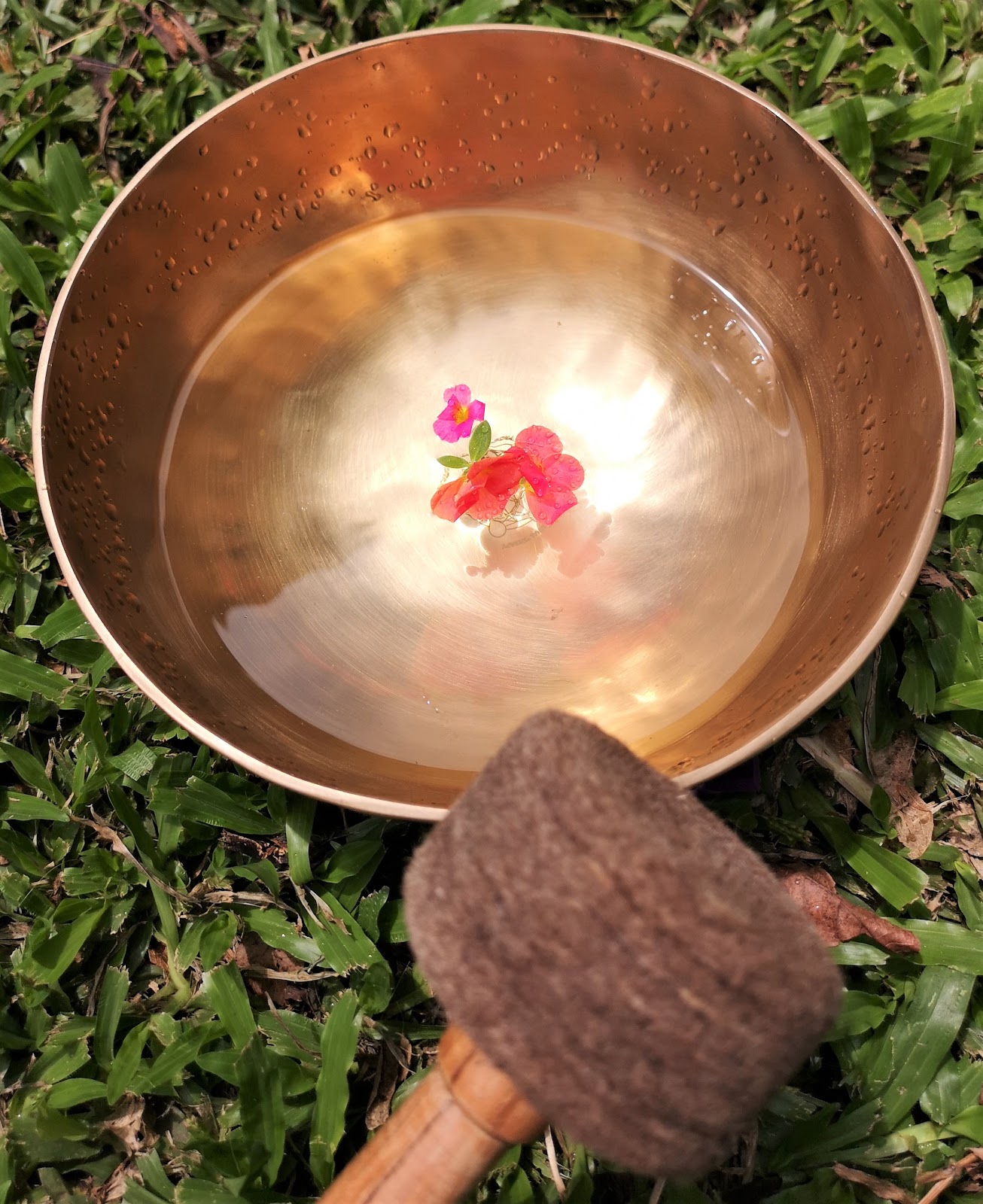 Move Smarter Pilates & Yoga Studio photo 7