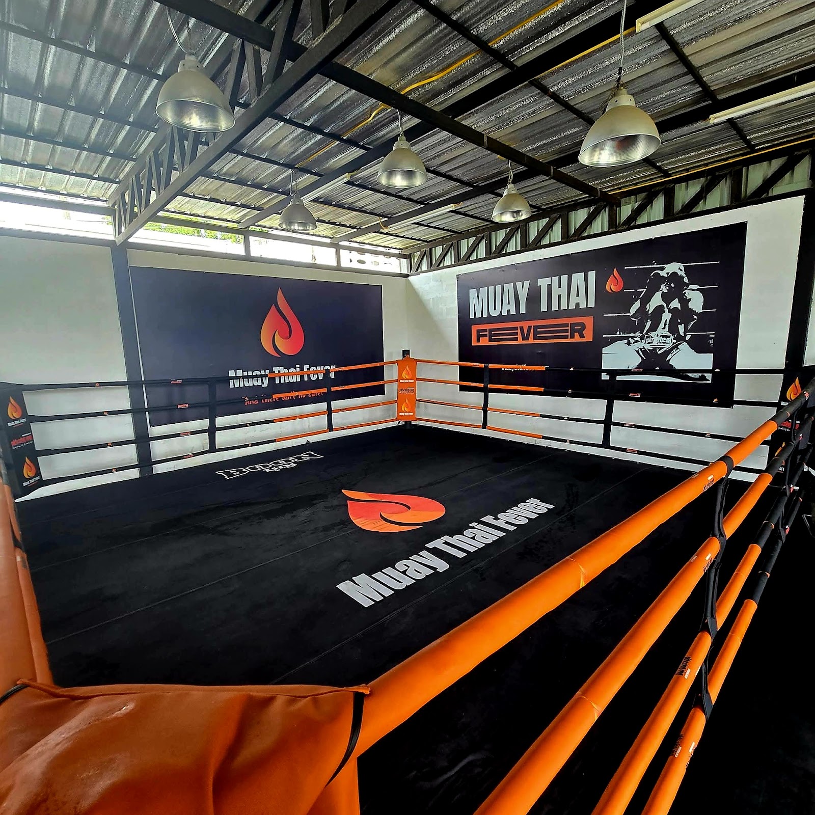 Muay Thai Fever - Muay Thai Training Chiang Mai