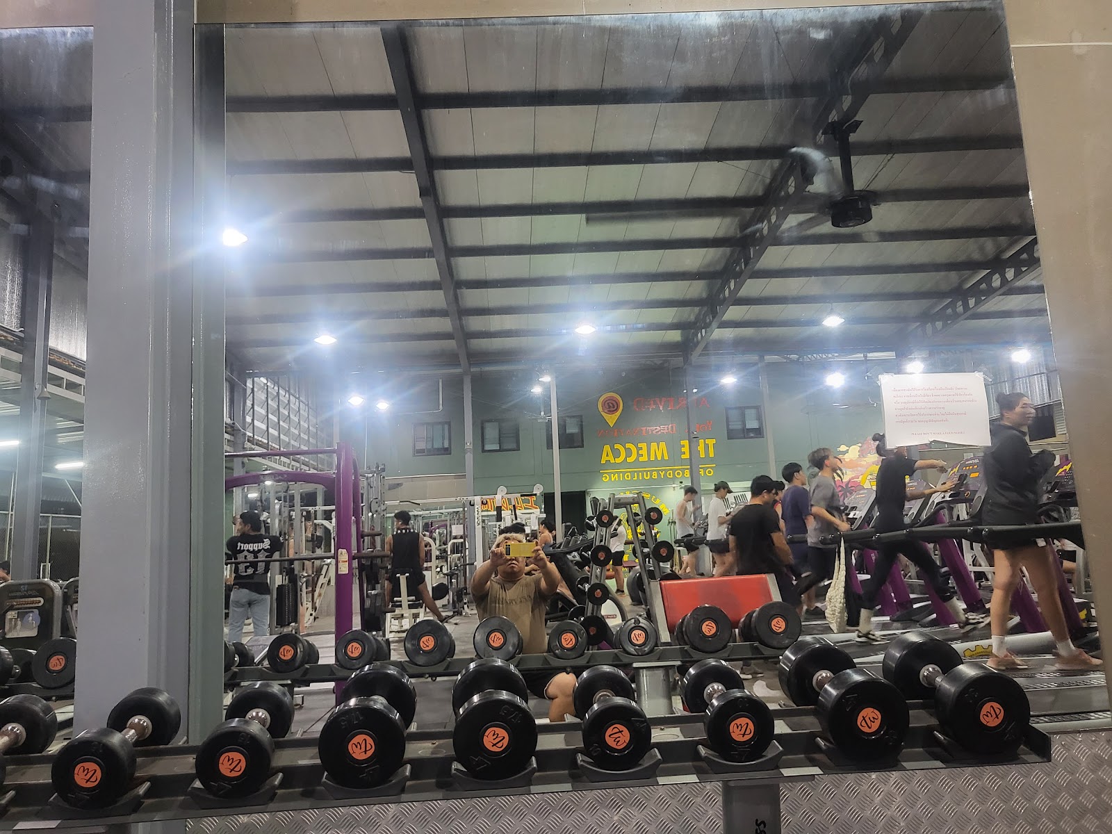 MUSCULAR LAIR photo 7