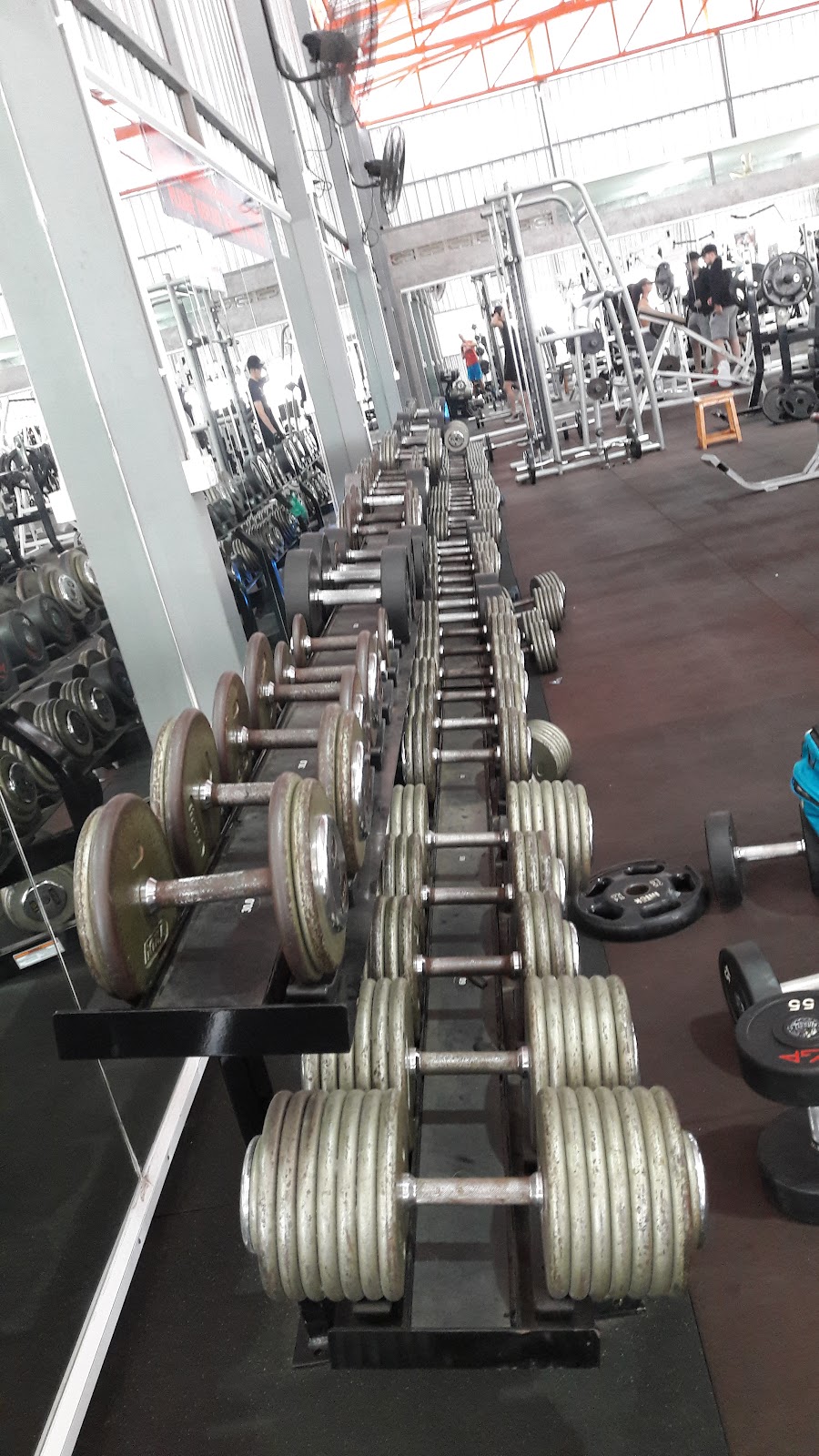 O2 GYM MAHIDOL photo 6