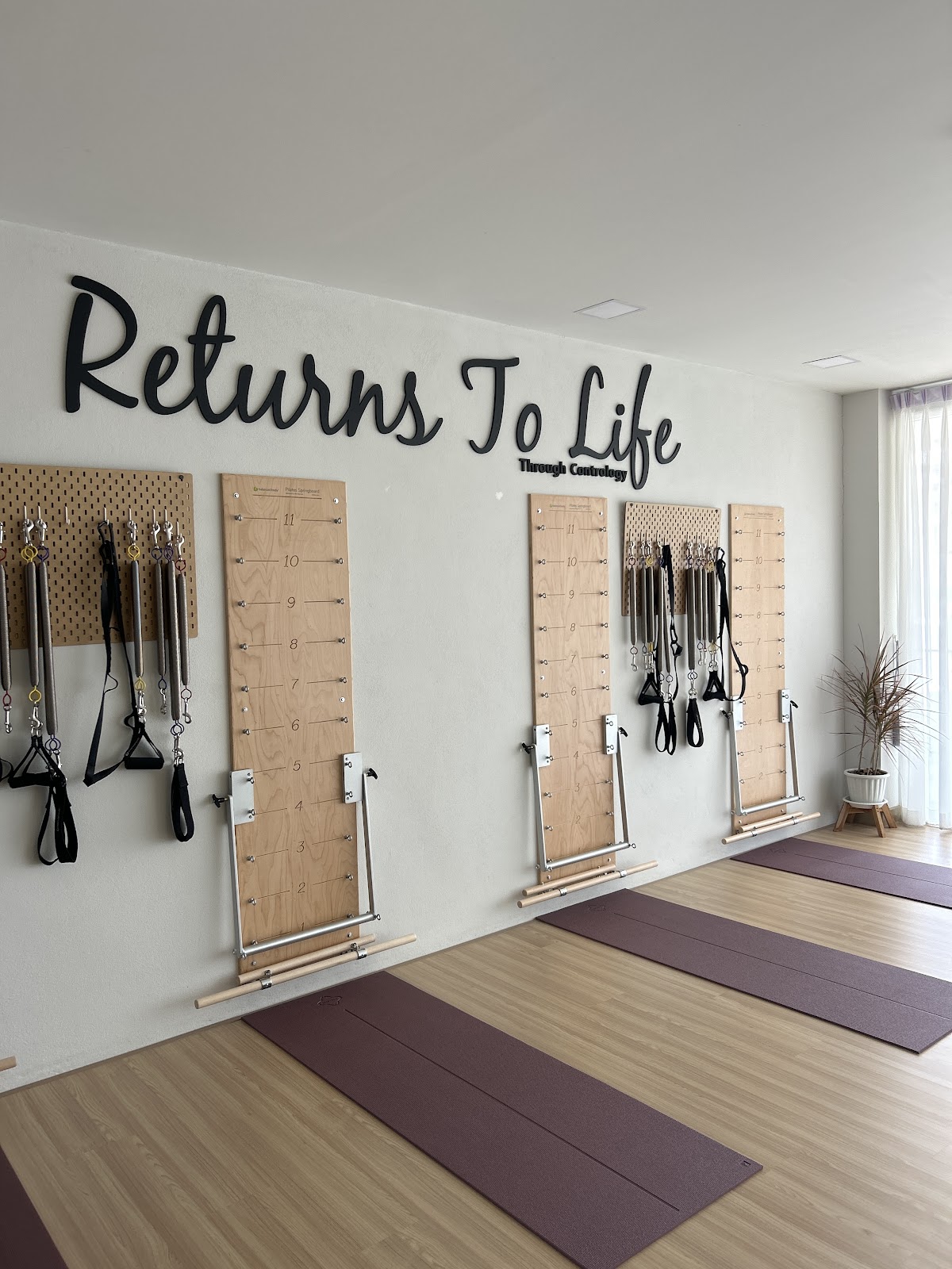 PowerHaus Pilates (พิลาทิส เชียงใหม่) photo 3