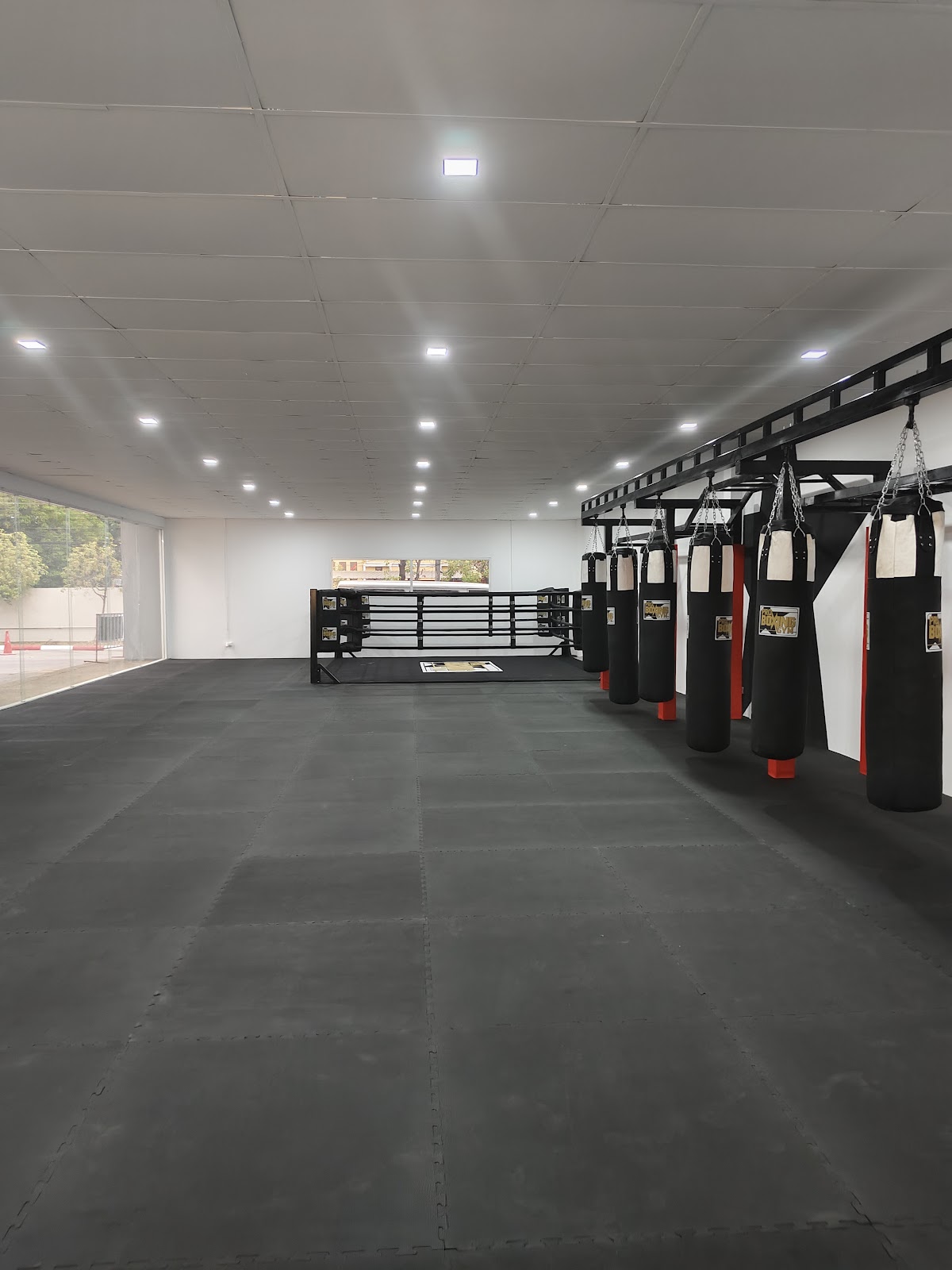 Pro Boxing Gym Chiang Mai