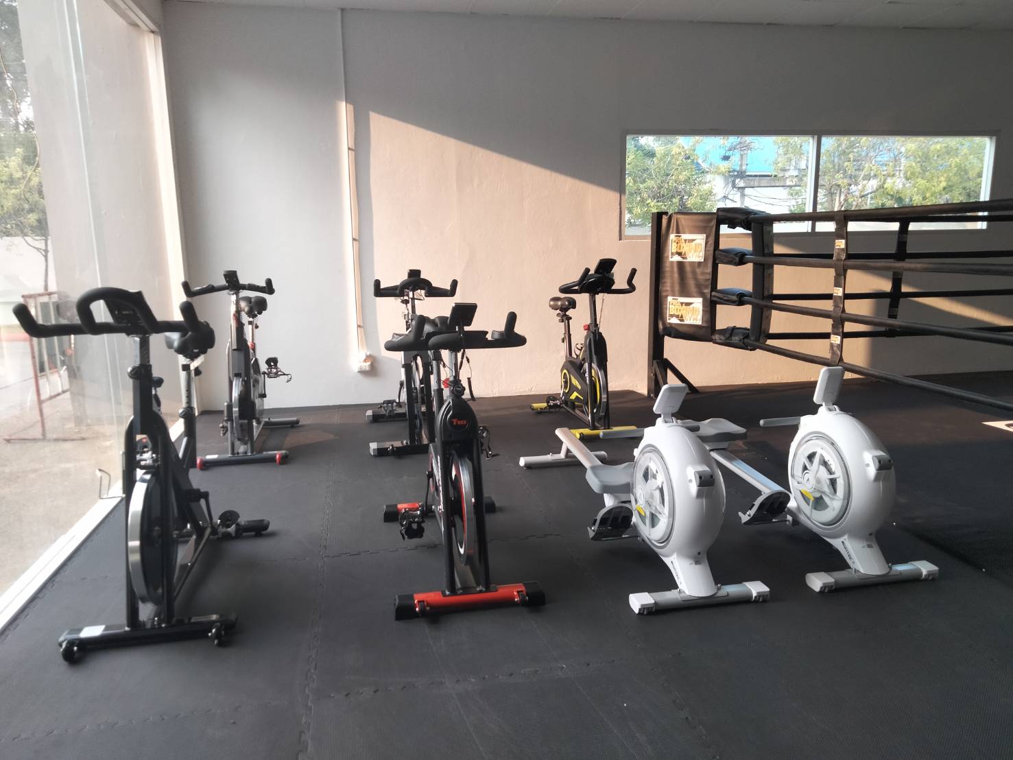 Pro Boxing Gym Chiang Mai photo 5