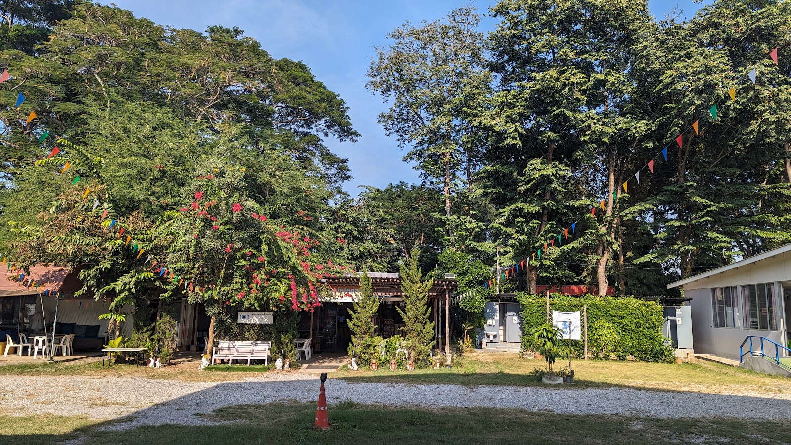 Progression Vertical Climbing Gym photo 8