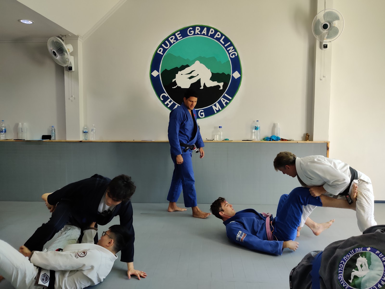 Pure Grappling Chiang Mai photo 5