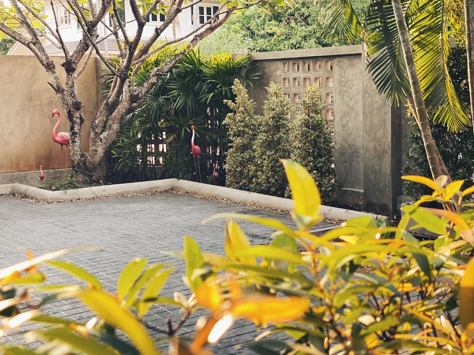 ReNEW STUDIO : lifestyle yoga photo 6