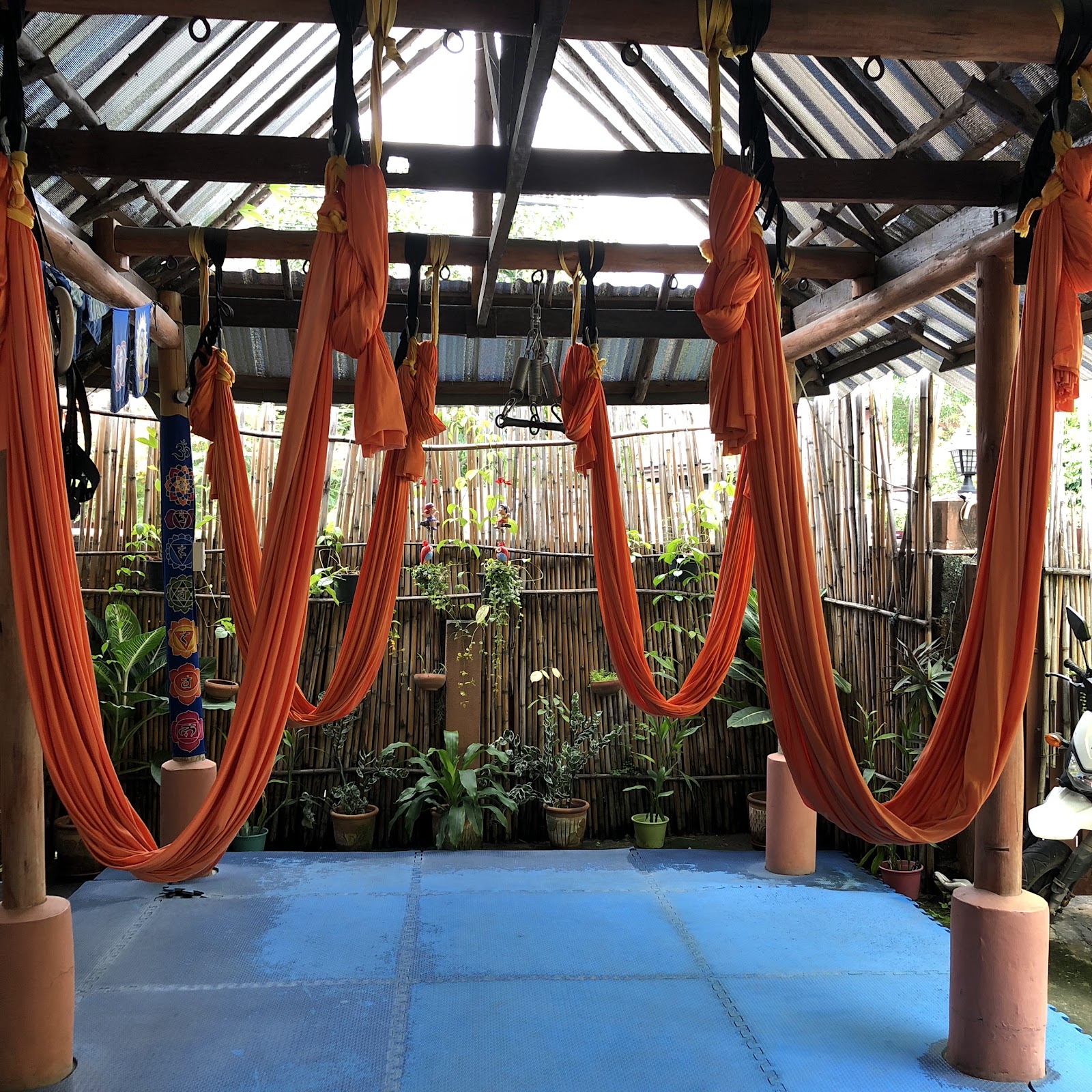Satva Yoga - Chiang Mai, Thailand photo 3