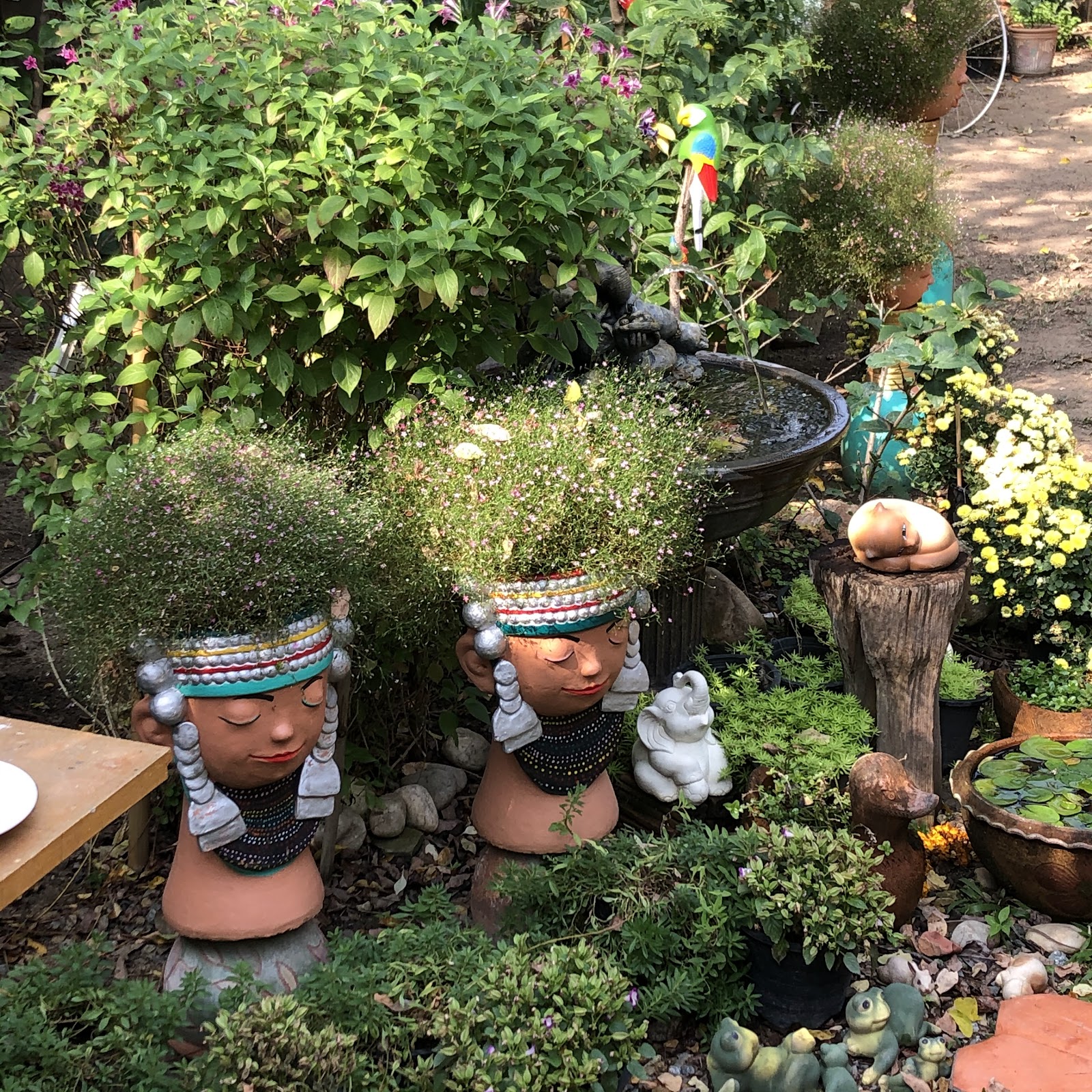 Satva Yoga - Chiang Mai, Thailand photo 8