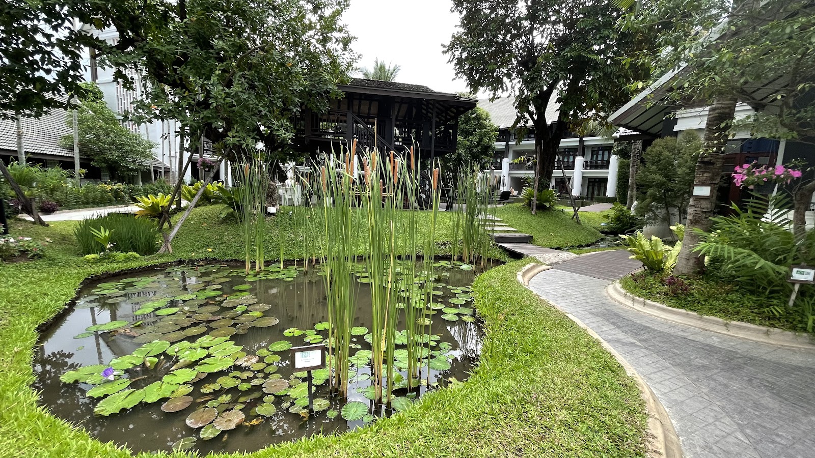 Sting Club Muay Thai Gym photo 7