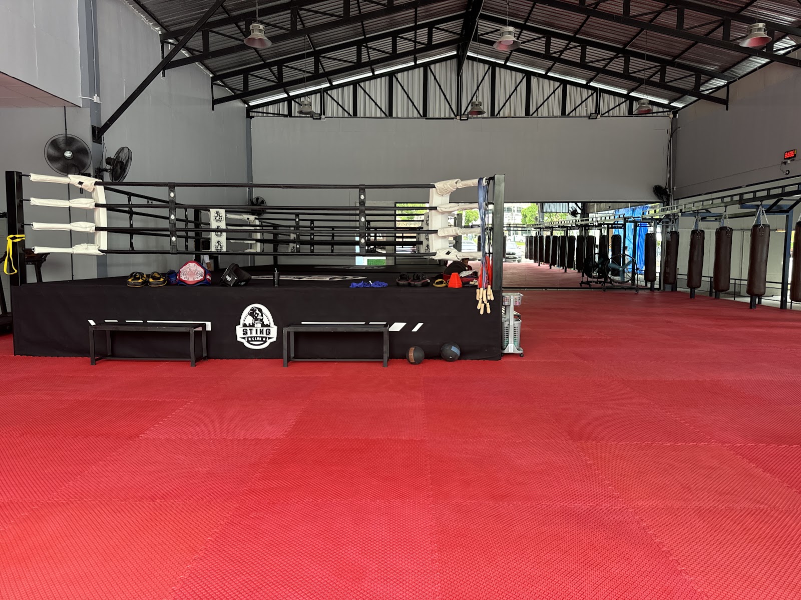 Sting Hive Muay Thai Gym photo 2