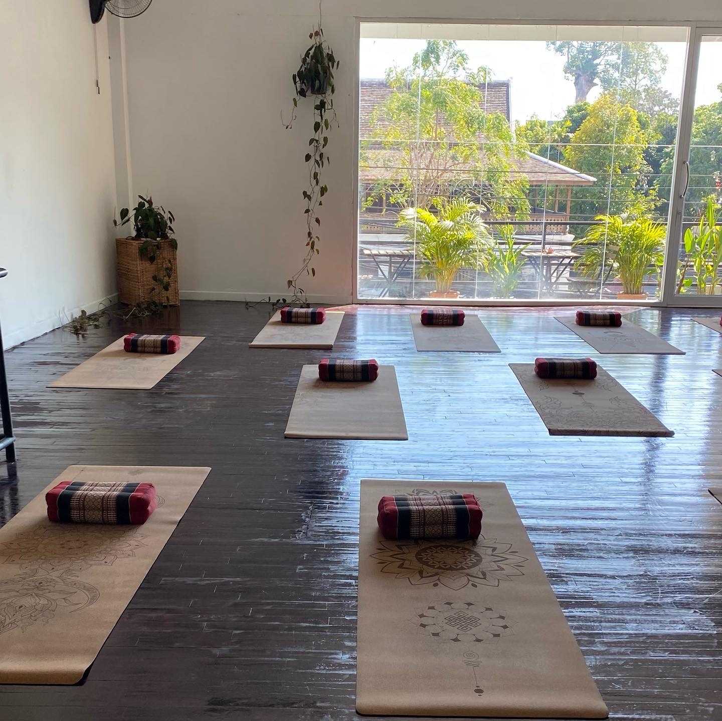 Studio Layla Yoga photo 3