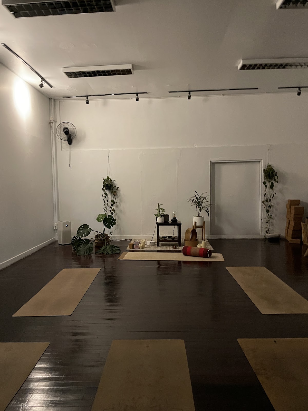 Studio Layla Yoga photo 8