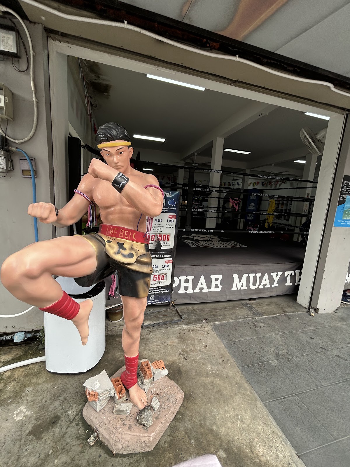 Thaphae Muay Thai Gym photo 10