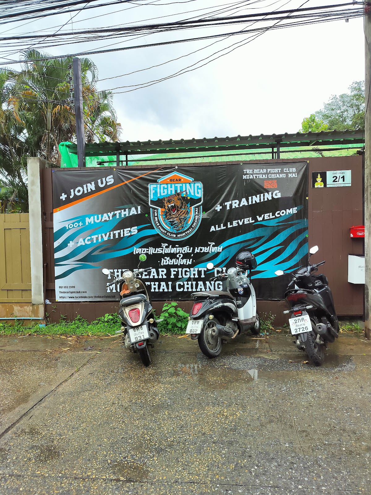 The Bear Fight Club Muay Thai Chiangmai photo 3