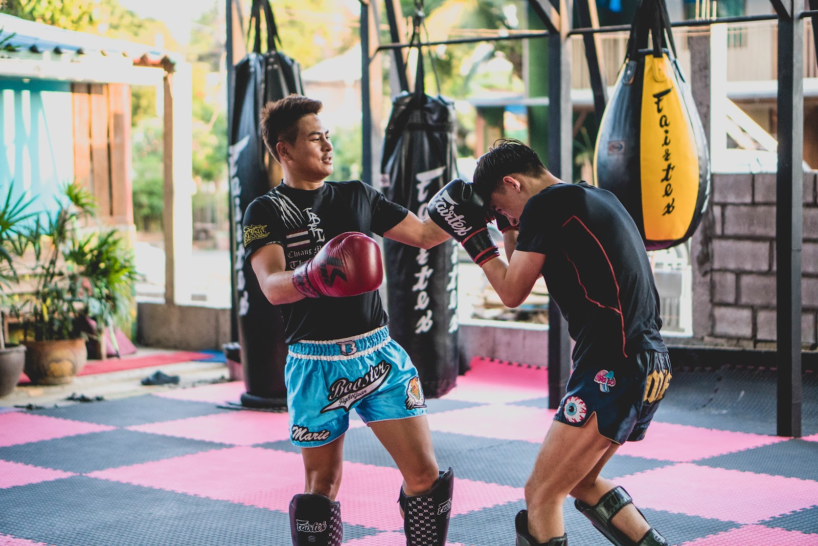 The Bear Fight Club Muay Thai Chiangmai photo 8