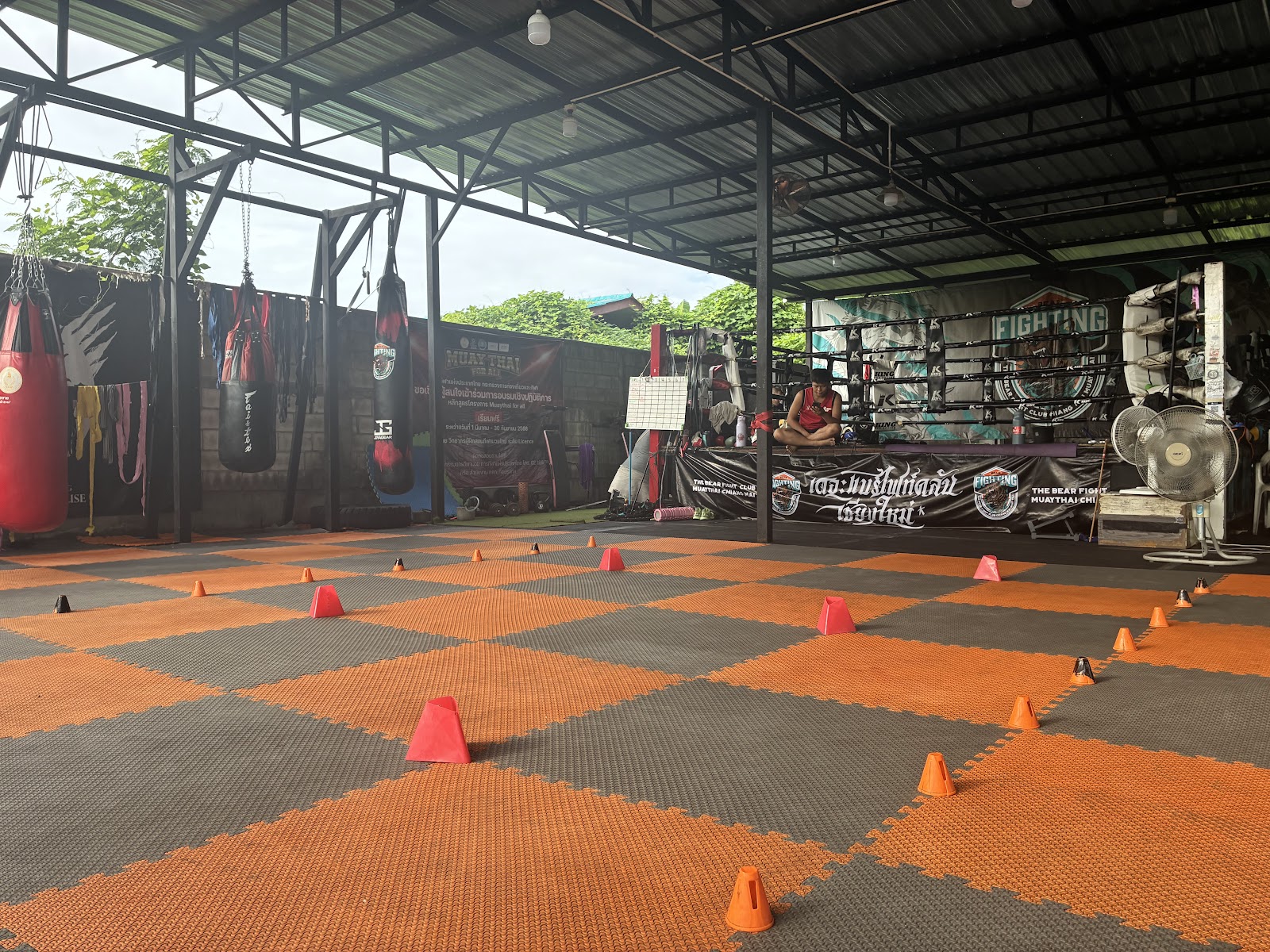 The Bear Fight Club Muay Thai Chiangmai photo 9