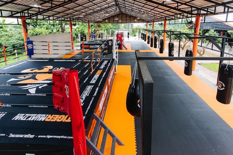 Tiger Muay Thai School & Training Camp, Chiang Mai, Thailand photo 3