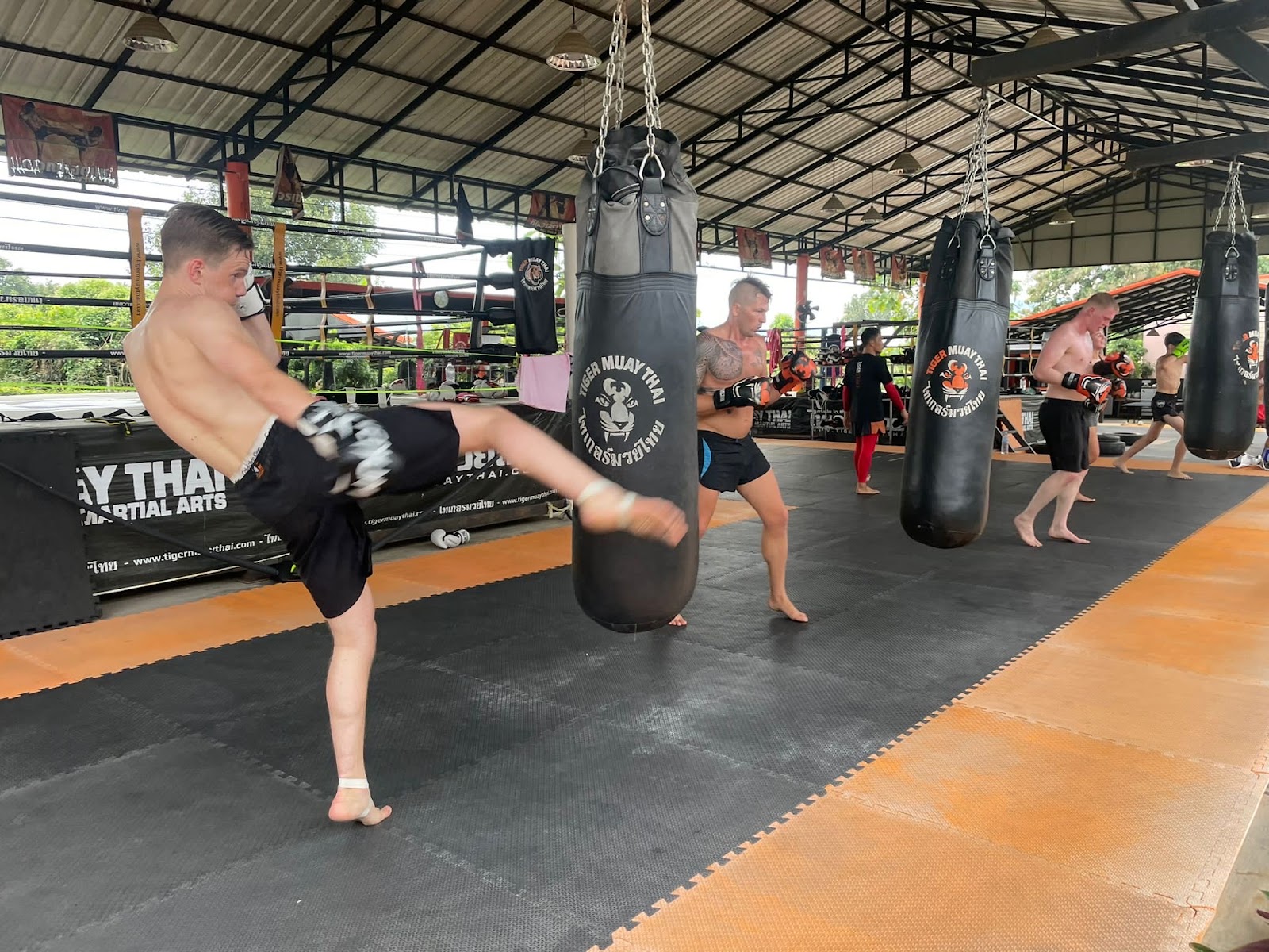 Tiger Muay Thai School & Training Camp, Chiang Mai, Thailand photo 7