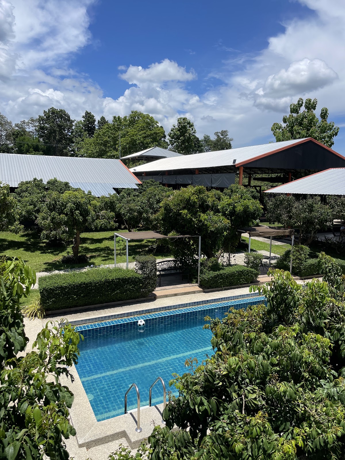 Tiger Muay Thai School & Training Camp, Chiang Mai, Thailand photo 8