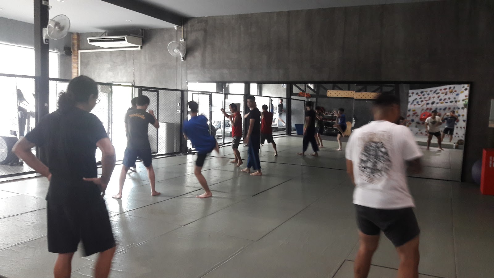 T.M. Muscle Gym photo 3