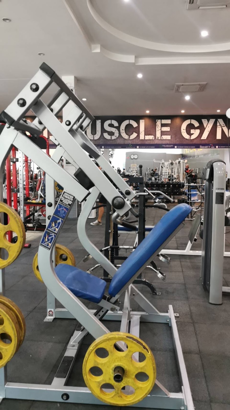 T.M. Muscle Gym photo 4