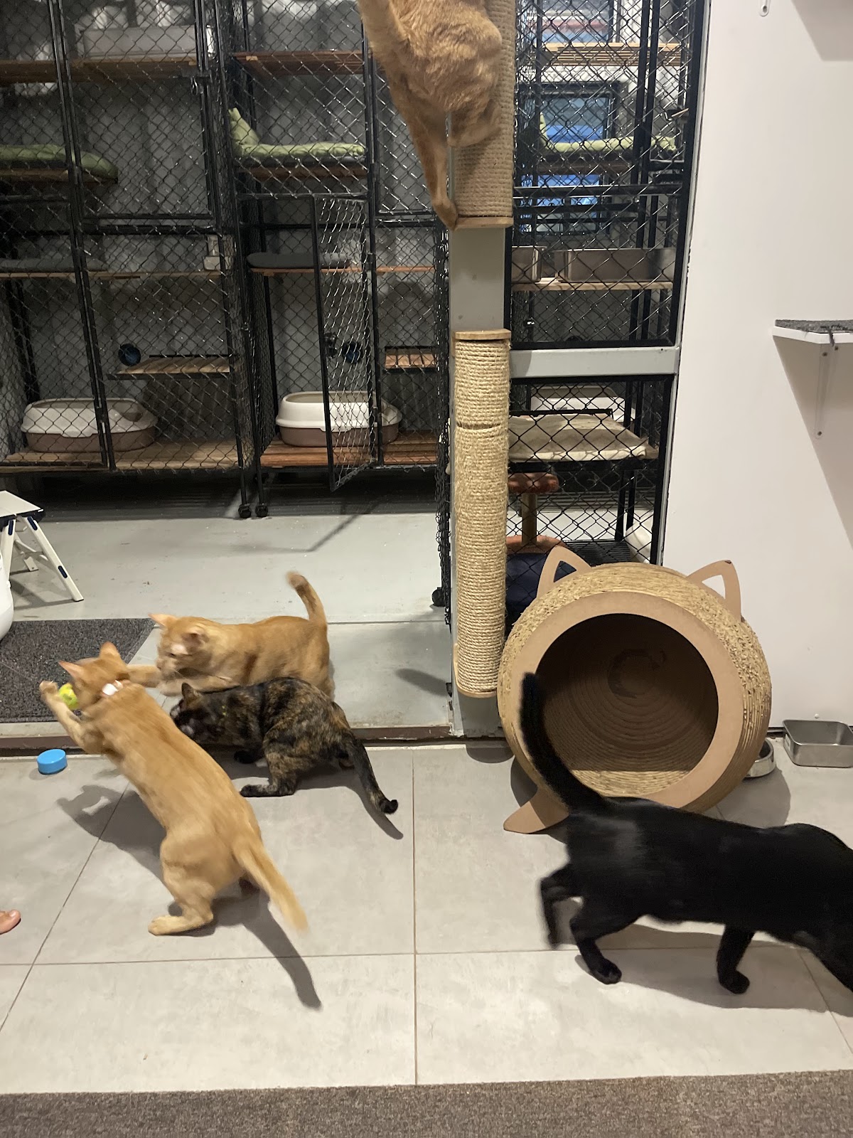 Vira Yogahome photo 9