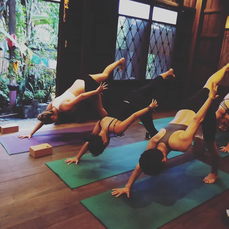 Wild Rose Yoga photo 5