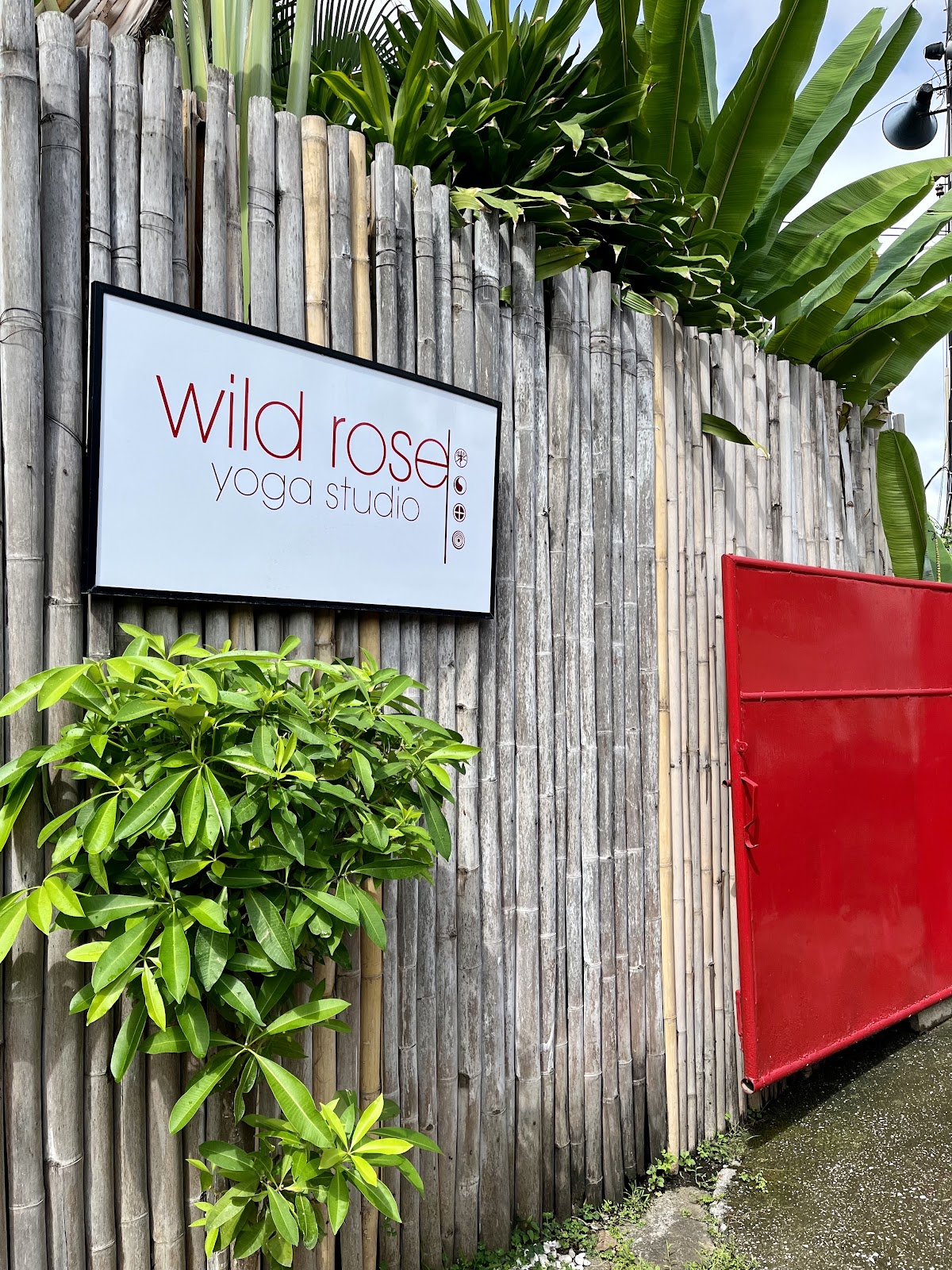 Wild Rose Yoga photo 6